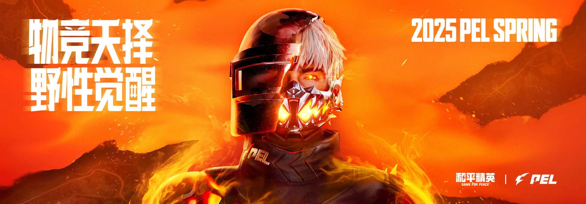 玩家心声:我为何选择或抵制和平精英辅助软件